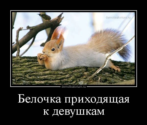Человек «словил белку» после алкоголя — что делать?