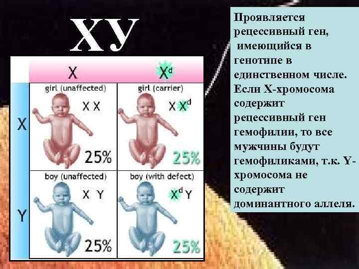 Генетические термины и символика
