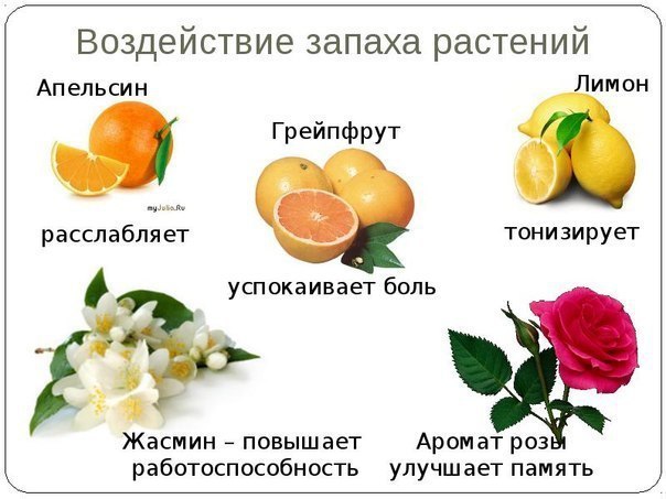 Чувствовать запах человека, которого нет рядом: приметы и их значения