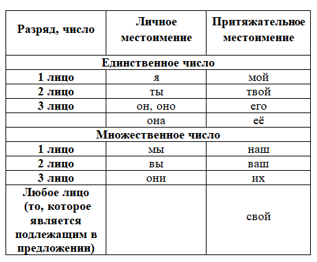Притяжательные местоимения в русском языке — определения, вопросы, примеры, признаки