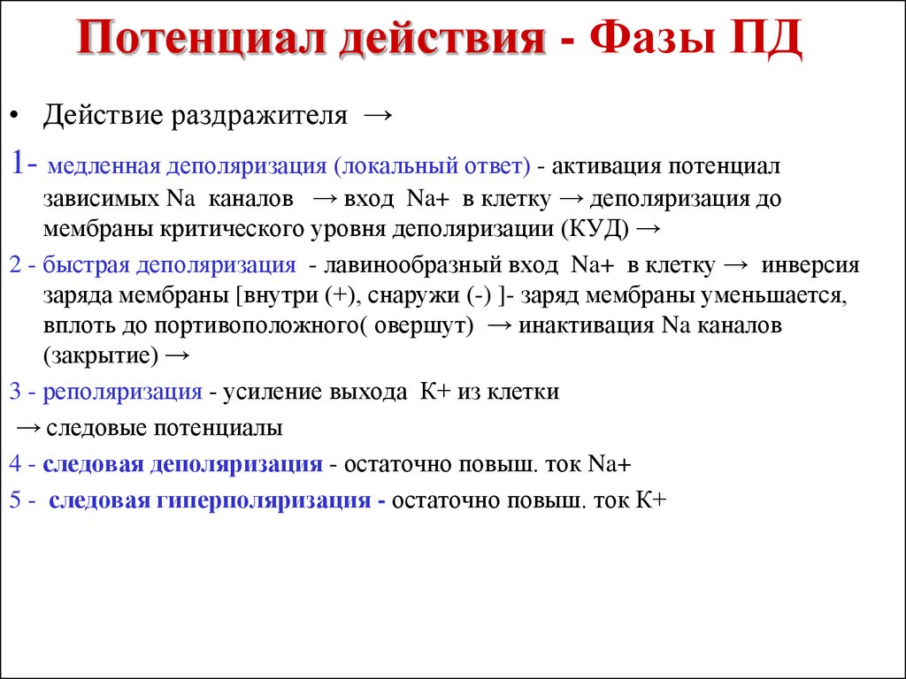 Раскрытие потенциала: инструкции, способы и упражнения