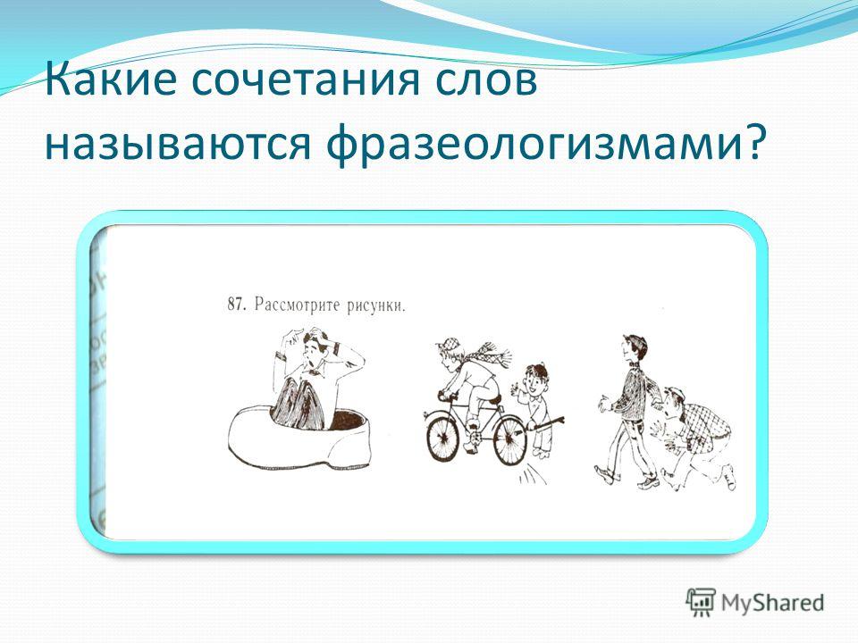 Фразеология – что изучает, определение, типы (7 класс, русский язык)