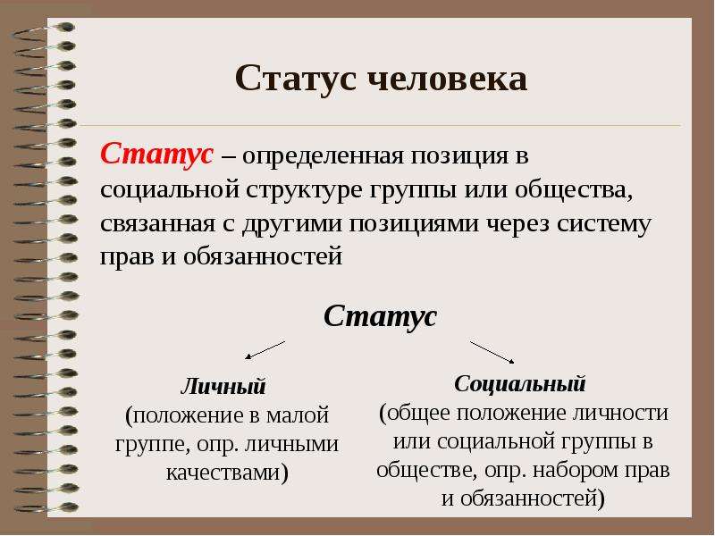 Какие существуют социальные статусы
