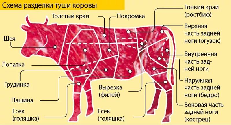 Удивительные переливы цветов в акварелях stina persson