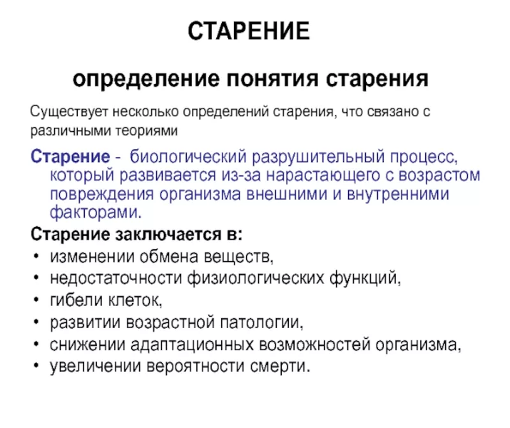 Что такое хронологический возраст и как его определить?