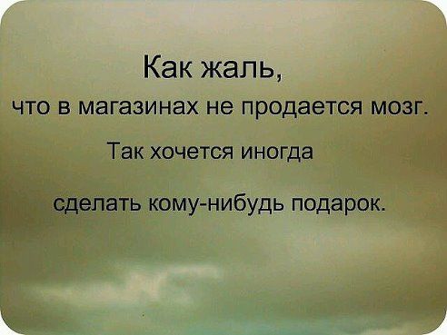 Хайдельбергская змея ? или как извиняется нарциссическая особь - 112dsm.com