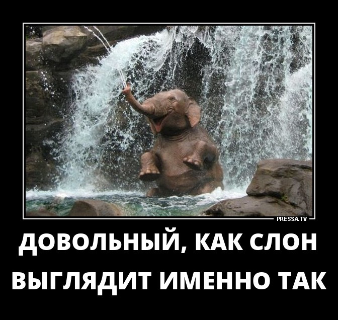 Читать память, как у слона. как быстро прокачать свою память, даже если вы регулярно забываете выключить утюг или закрыть дверь онлайн константин дудин (страница 4)
