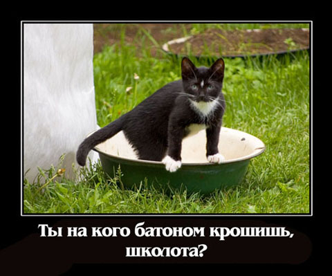Что значит выражение крошить батон