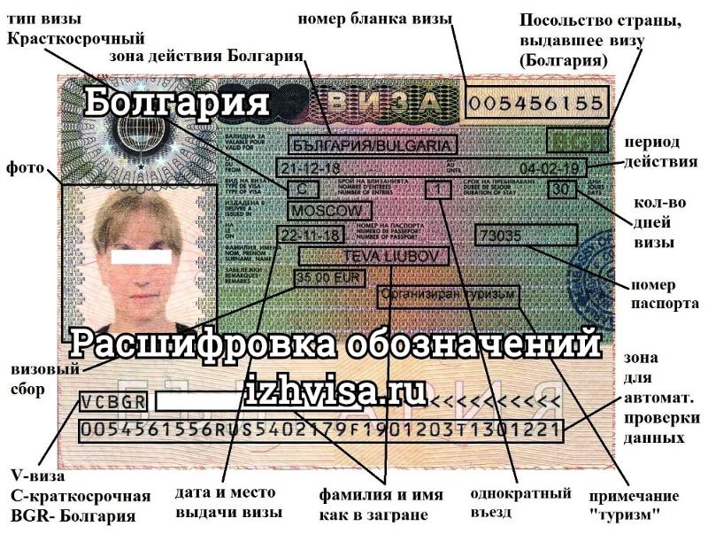 Где смотреть номер шенгенской визы? подробно