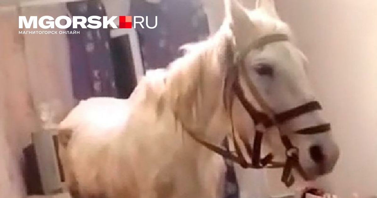 Знать сызмала как пишется