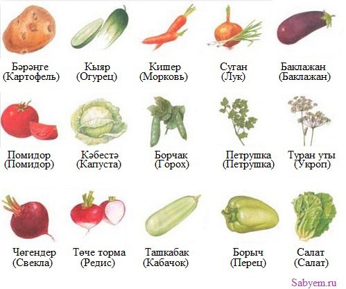 Кызым по-татарски: как перевести на русский язык и что это означает
