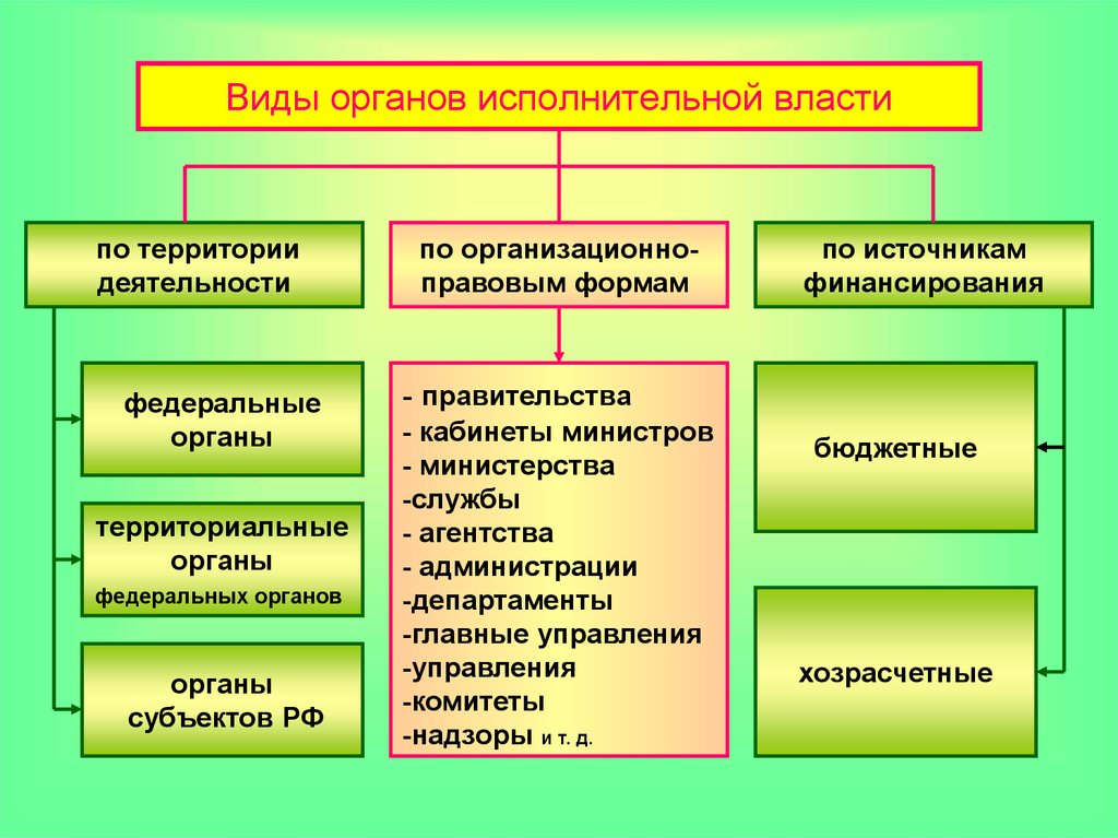 Территориальные органы федеральных органов исполнительной власти: смысл и функции