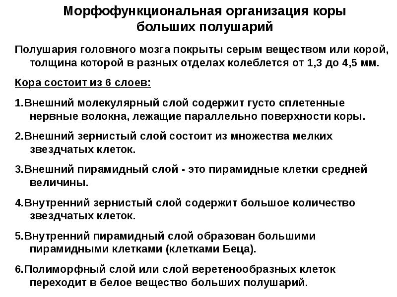 Что значит "мульку пестрить" и как правильно применять в разговоре