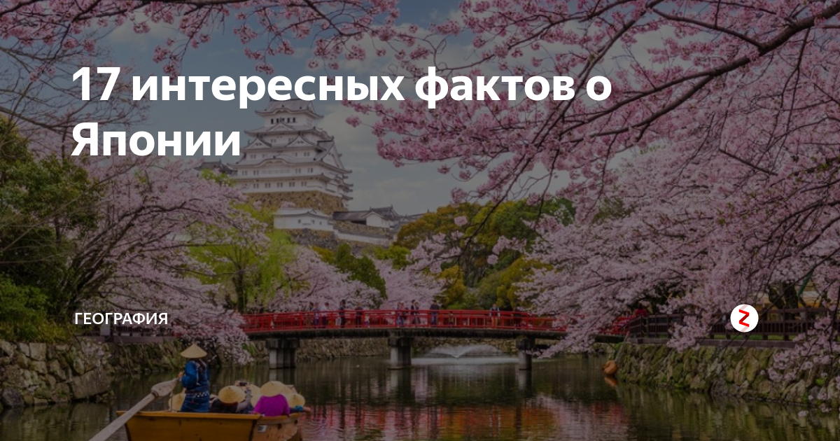 Что значит даже у дагестанцев - про игры