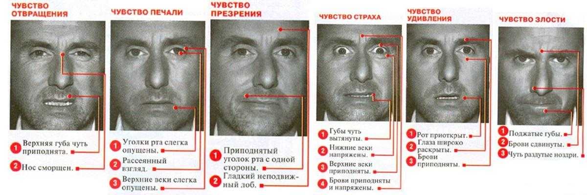 Брови самая важная часть лица. брови - это одна из важнейших частей лица.
