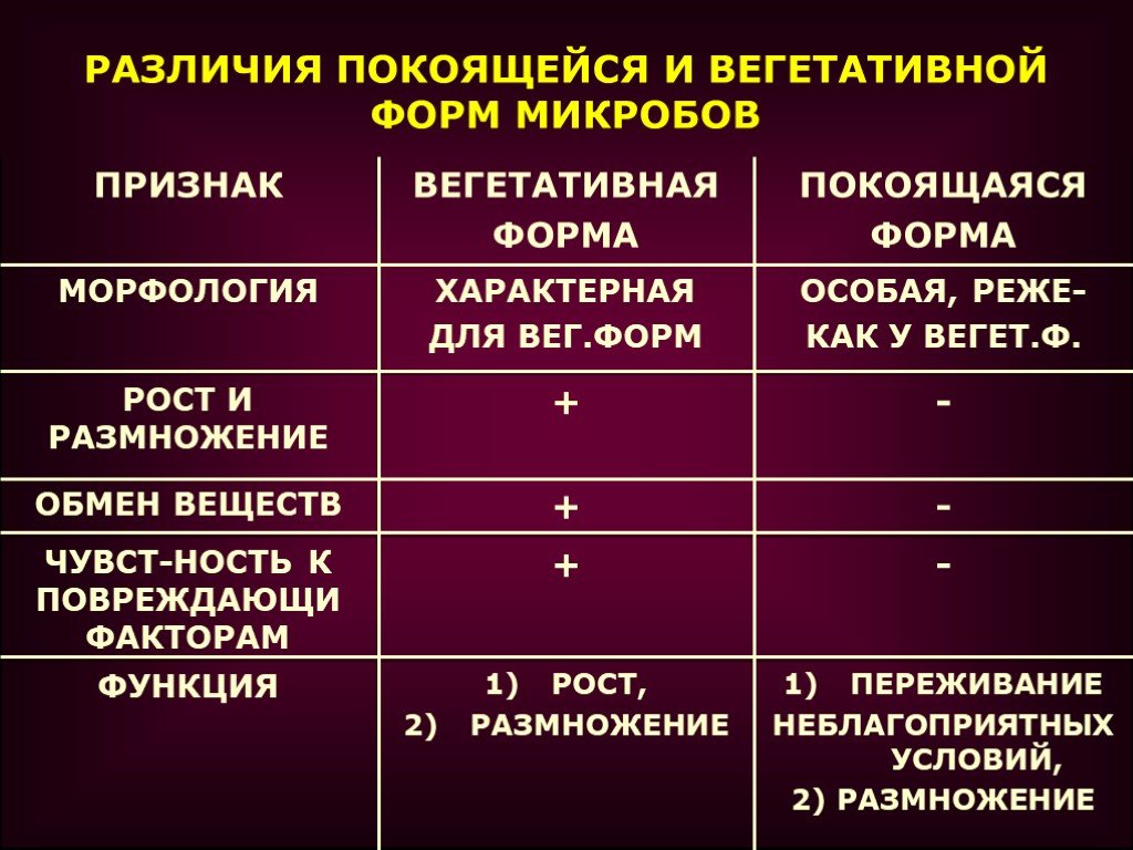 Покоящиеся формы прокариот - морфология бактерий - микробиология учебное пособие - красникова л. в. - троицкий мост 2012