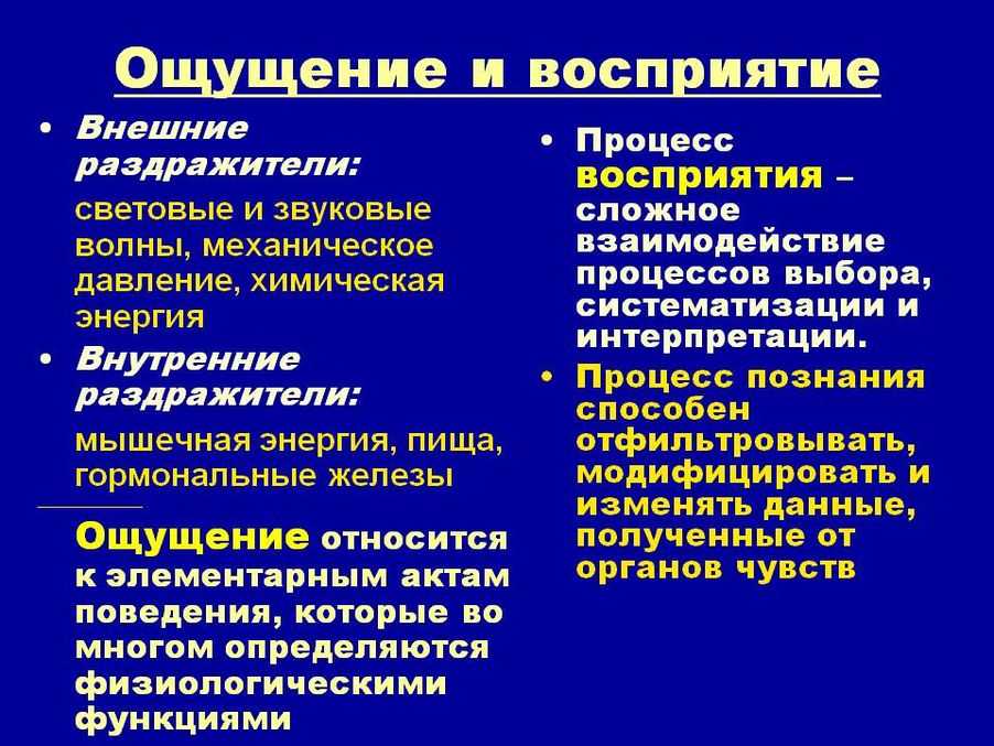 Общее представление об ощущениях, ответы на вопросы