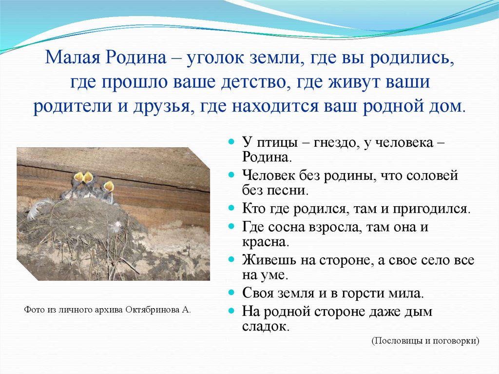 Что значит вешнего леса красу: история, символика, значение