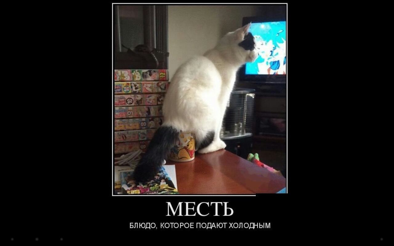 Почему месть – это блюдо, которое подают холодным