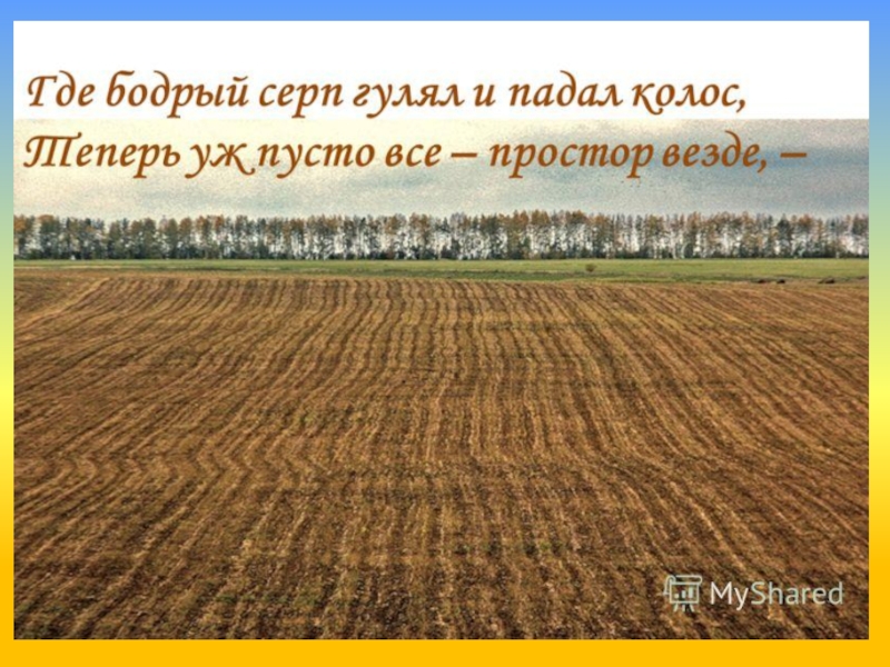 Что значит праздной борозде блестит