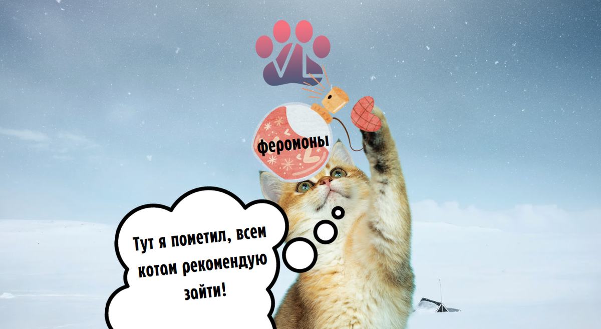 Как на человека влияют феромоны - умная