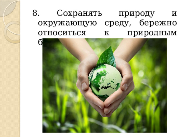 Глобальные экологические проблемы леса - причины, последствия и решение — природа мира