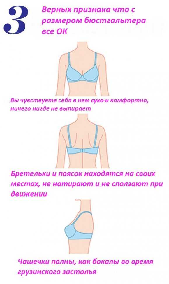 Как определить свой размер бюстгальтера - wikihow
