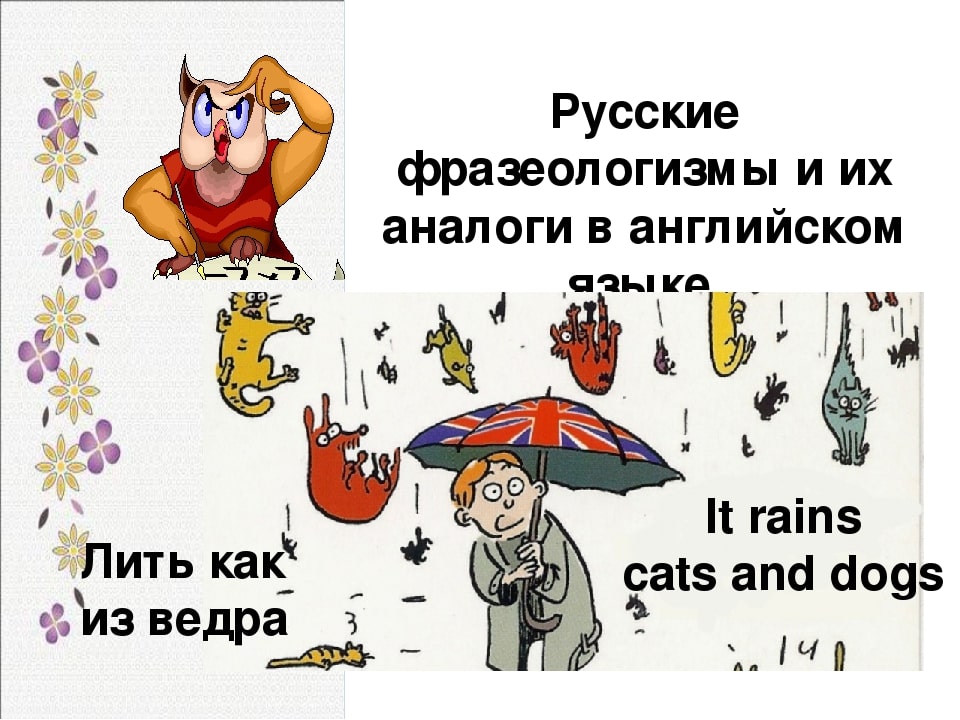 Фразеологизмы: виды, особенности + более 20 примеров использования