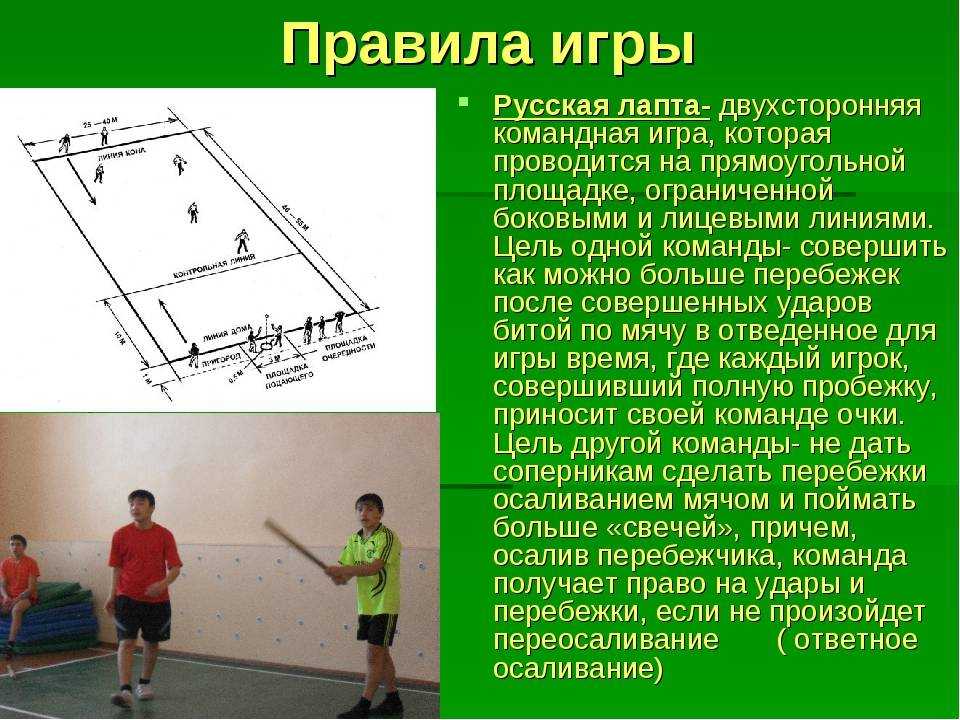 Большой шлепа: кот или мемный феномен?