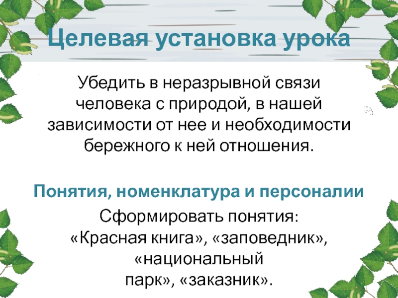 Почему леса — основная причина и важность воздуха на нашей планете