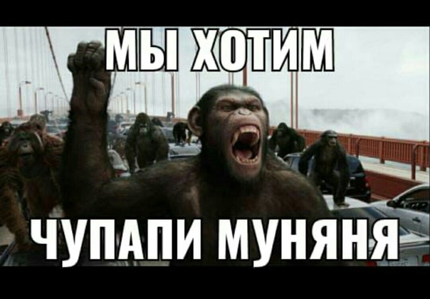 Чупапи муняне перевод на русский: значение и толкование
