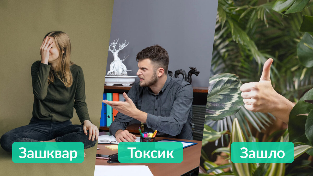 Черты опасных людей: как их распознать, важные признаки, советы