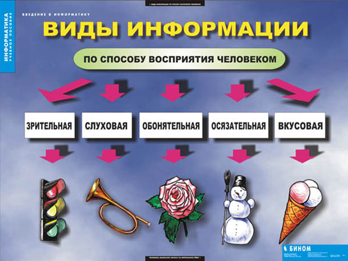 Глава 1 ощущение