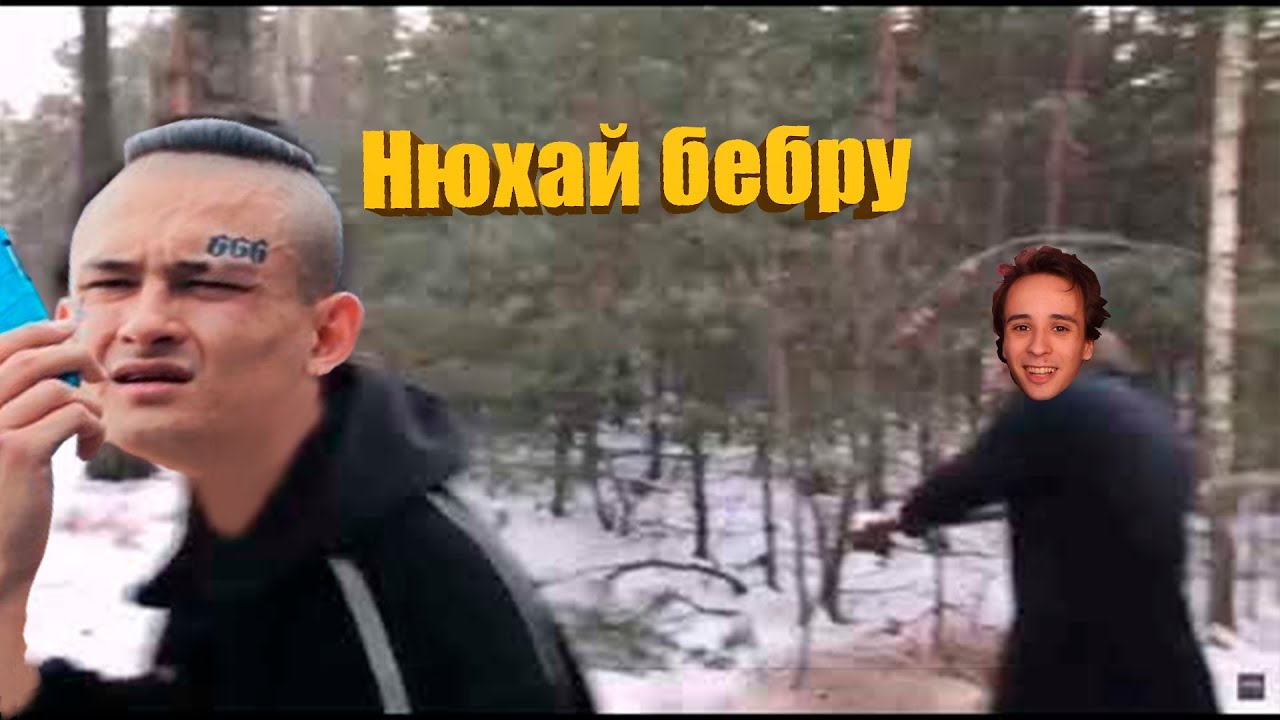 Нюхай бебру