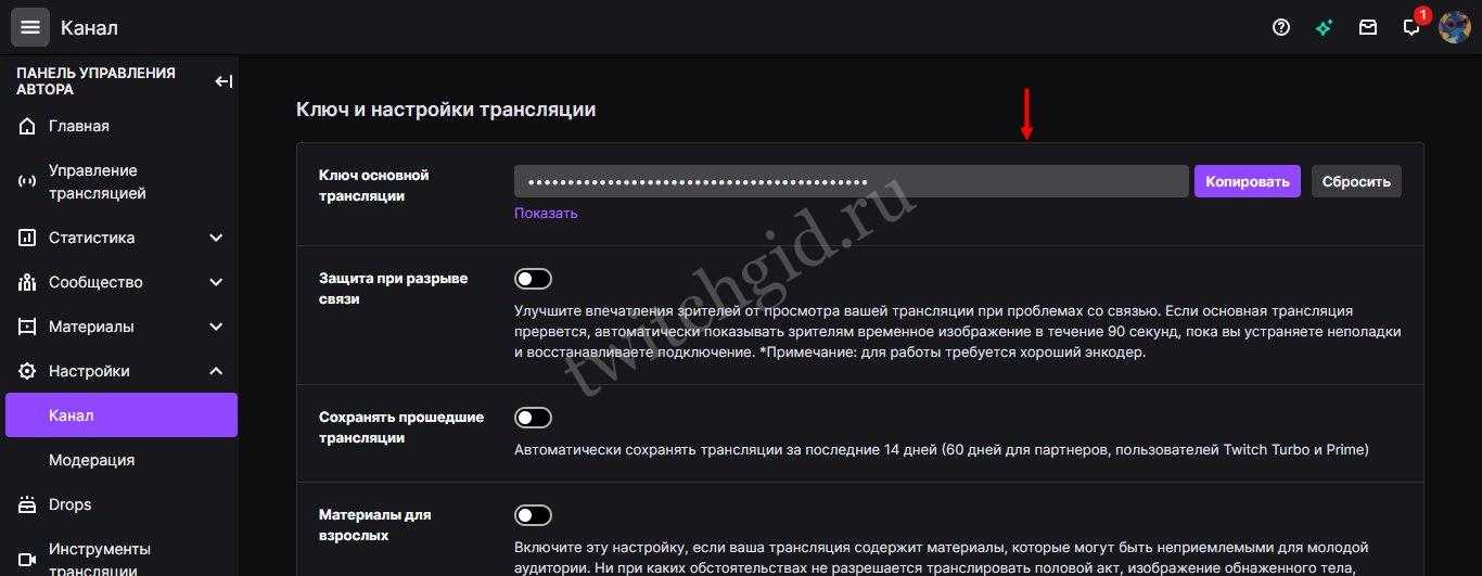 Стримеры на твиче - почему они открыто осуждают и что заставляет их говорить об этом - zakipyati.ru