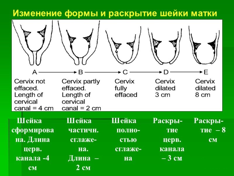 Сколько продолжается временной промежуток определяющий значение слова скороузнайте как определить | 👩‍💻 темы и идеи для блога