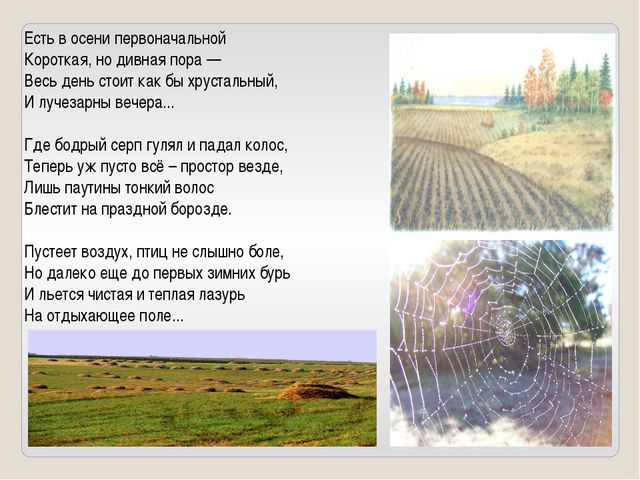 Почему появляются поперечные борозды на ногтях?