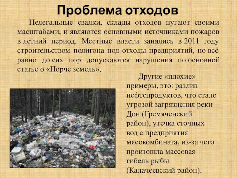 Что такое мусорная цивилизация: определение, причины и последствия