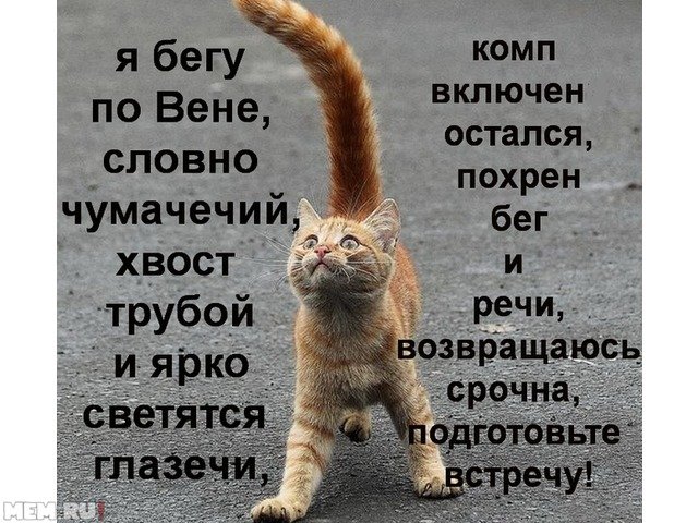 Что значит вилять хвостом фразеологизм