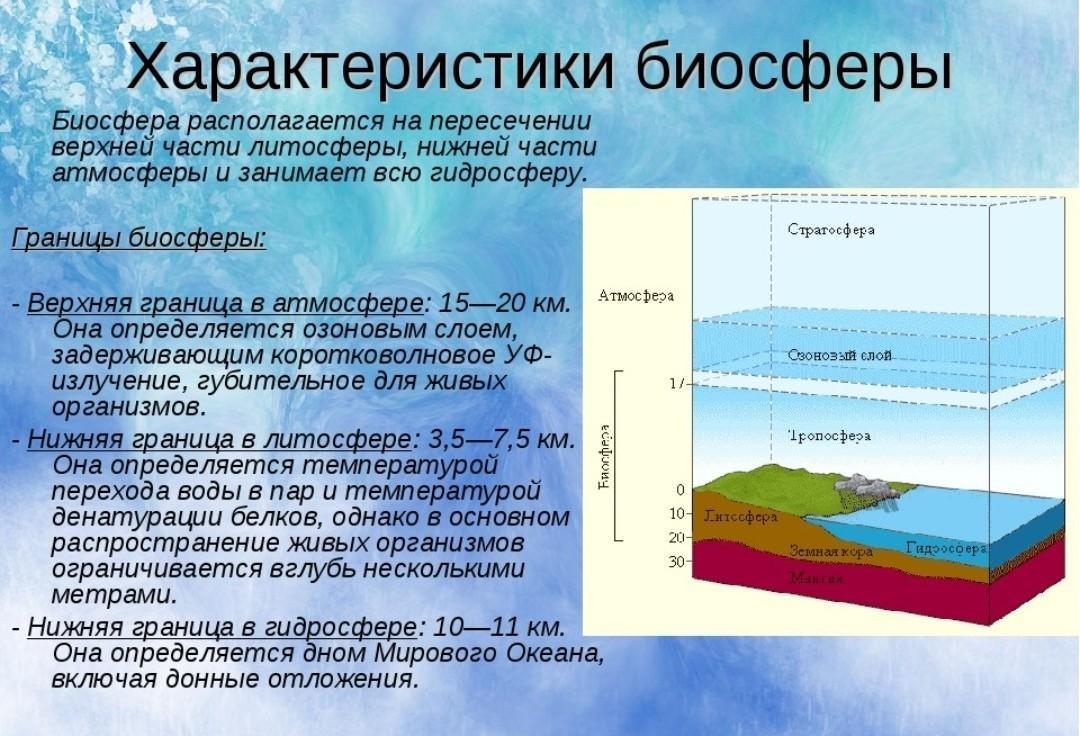 Накаляя атмосферу: разбираемся с неприличным поведением