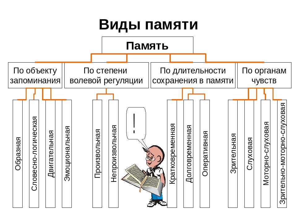 Двигательная память у детей: что это и как её развивать?