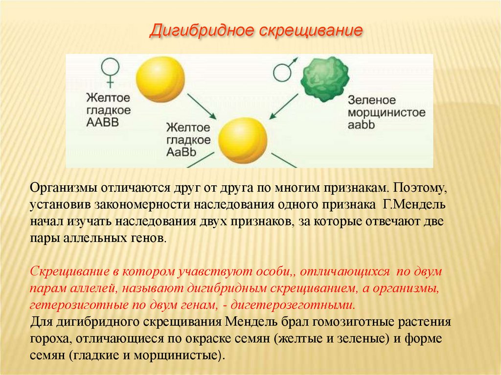 Об элементарных эволюционных факторах