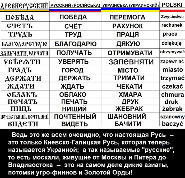 Что означает слово "повия" на украинском языке?