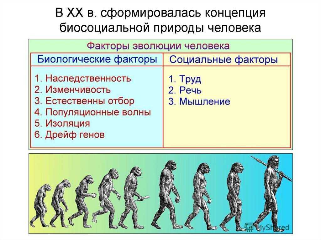 Условный характер деятельности: что это значит?