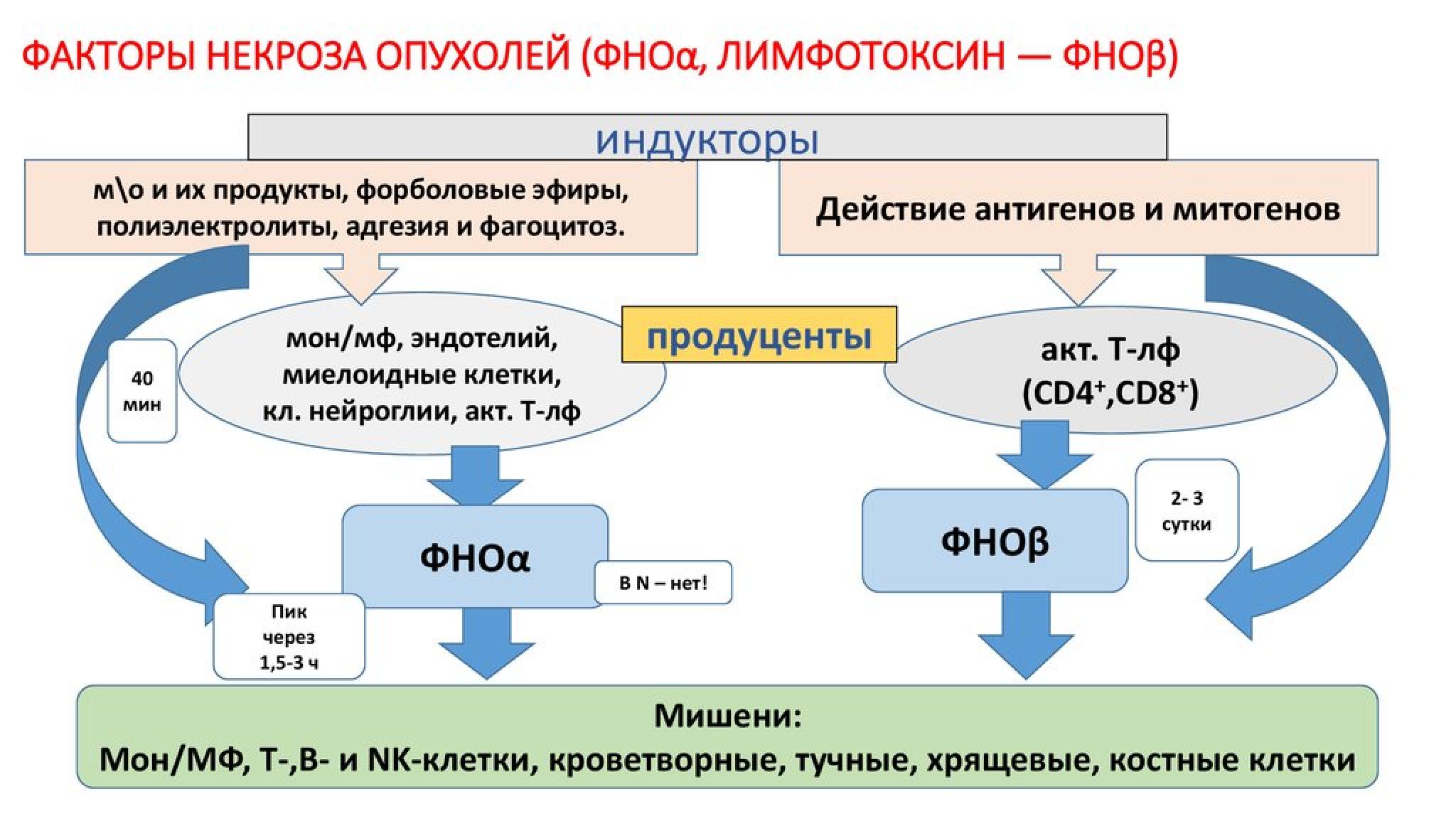 Код фно: что это такое и как его использовать?