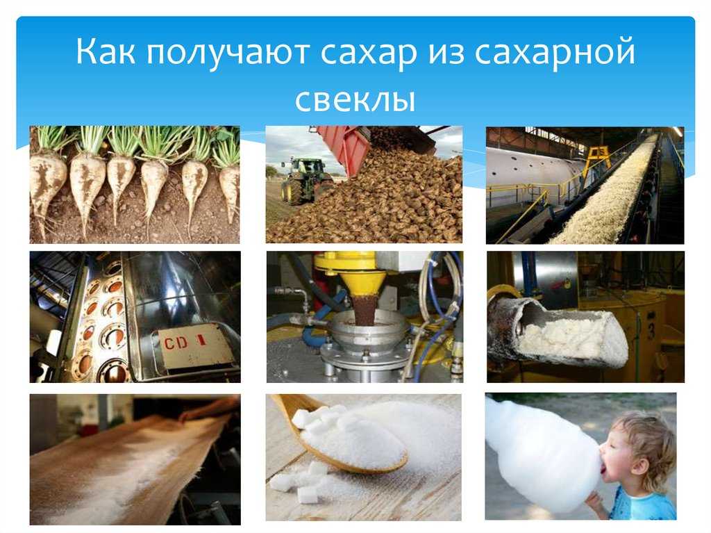 Сахар - виды, применение, способ производства [разъясняем] - напитки мира