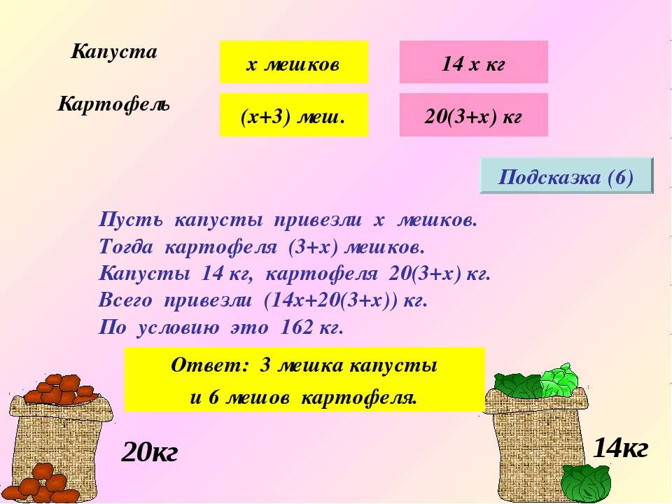 Когда и как правильно собирать кедровые орехи, обработка собранных шишек