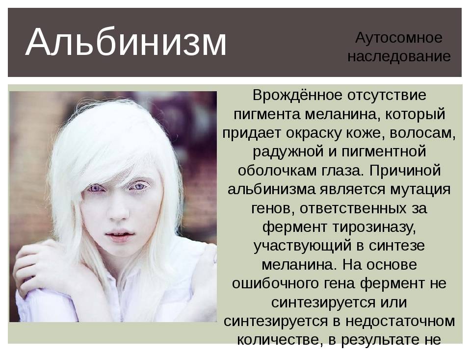 Пигментация волос: от чего зависит цвет волос