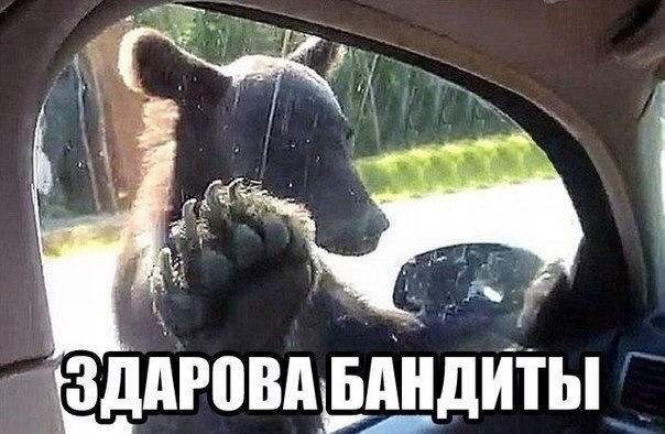 Родной язык 8 а класс | моу сош № 1 пгт. новокручининский имени героя россии в.и. тюрикова