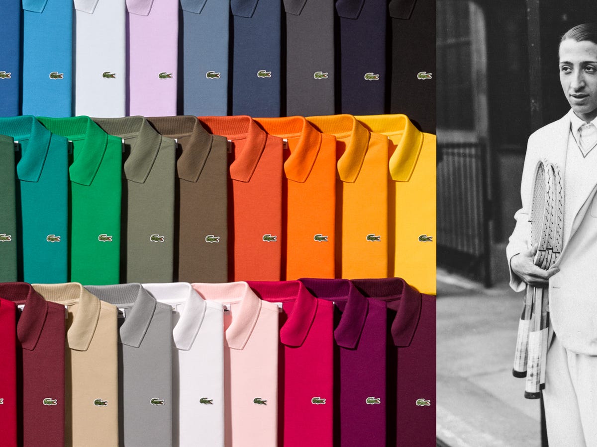 Почему рене лакост, основатель «lacoste», выбрал в качестве логотипа зеленого аллигатора?